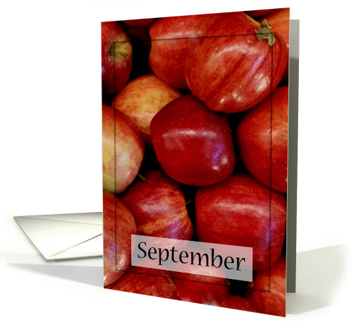 Blank September Apples card (1301464)