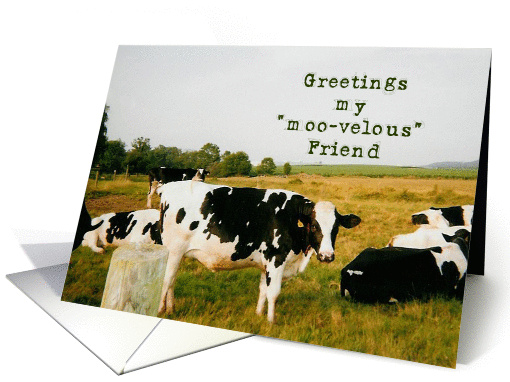 Greetings My Moo-velous Friend card (164452)