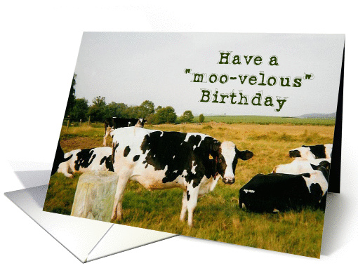 Have a moo-velous birthday card (164454)