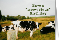 Have a moo-velous...