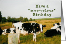 Have a moo-velous birthday card
