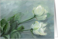 White Roses