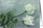 White Roses card