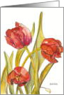 Easter Tulips card