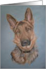 German Shepherd card