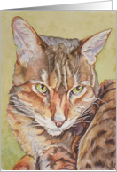 Cat card