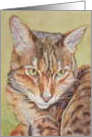 Cat card