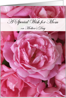 Pink Roses A Special Wish for Mom on Mother’s Day Card