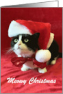 Meowy Christmas withTuxedo Cat in Santa Hat card