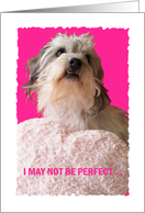 Funny Dog Valentine -- Not So Perfect Valentine card
