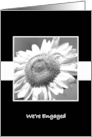 Engagement Announcement Black and White Sunflower card
