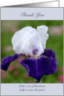 Sympathy or Funeral Iris Thank You card