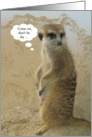Don’t Be Shy Employee Appreciation Thank You Card