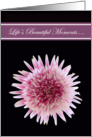 Will you be my Maid of Honor Cards -- Gorgeous Gerbera card