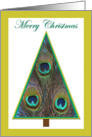 Elegant Christmas Tree Christmas Card with Peacock Feathers card