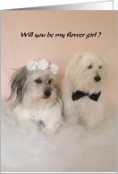 Will you be my flower girl? card