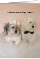 Ring Bearer Wedding Invitation card