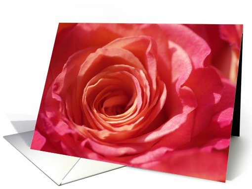 Spanish Birthday Cards -- A Rose for You card (111446)