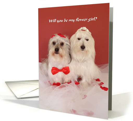 Flower Girl Card -- Cute Dogs card (112669)