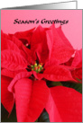 Poinsettia Greetings card