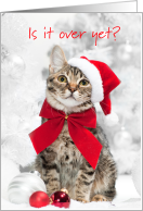 Funny Cat Christmas...