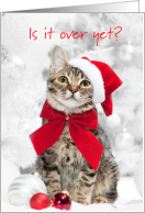 Funny Cat Christmas Card