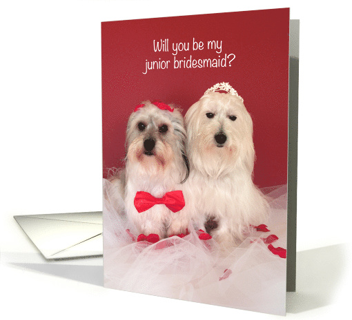 Will you be my junior bridesmaid Cute Dogs? card (128618)