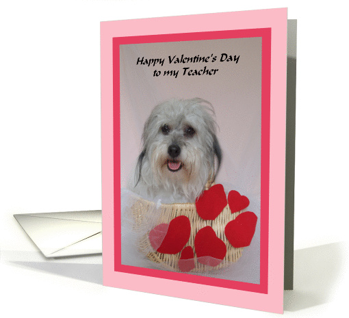 Teacher Valentine -- For My Teacher on Valentine's Day card (130045)