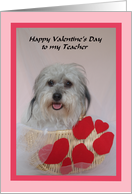 Teacher Valentine -- For My Teacher on Valentine’s Day card