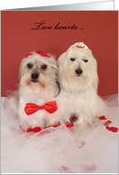 Dog Valentine -- Two Hearts card