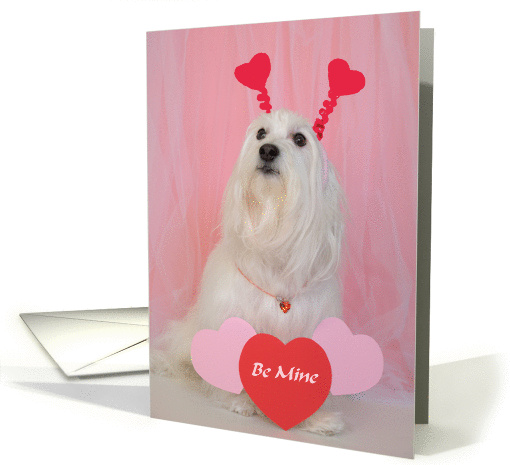 Dog Valentine -- Valentine You are the Only One card (142718)