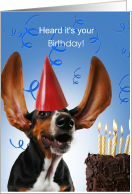 Basset Hound Birthday Cards from Greeting Card Universe