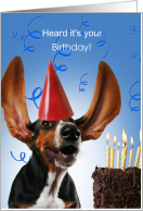 Cute Dog Basset Hound Birthday Card