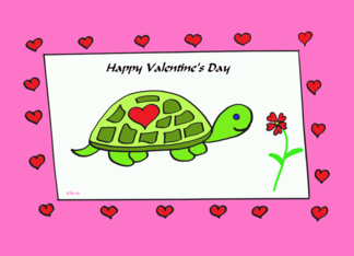 Kids Turtle Valentine -- Turtle Love