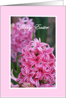 Easter Card -- Pink Hyacinth card