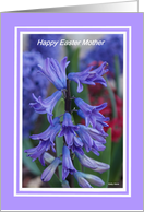 Easter Hyacinth for Mother card
