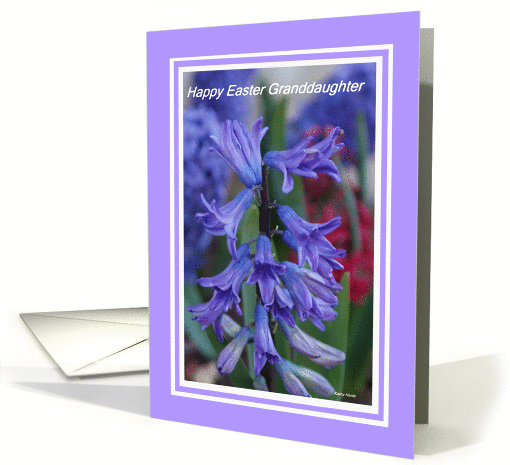 Easter Hyacinth for Granddaughter card (162605)