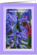 Easter Hyacinth for...
