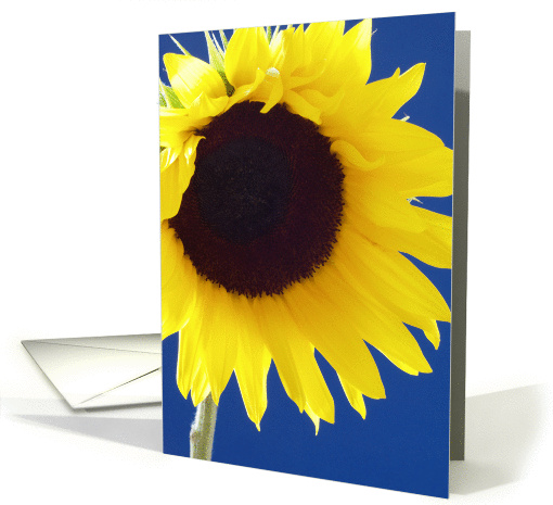A Cheerful Thank You Administrative Professionals Day card (164936)