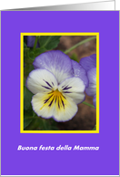 A Pansy for Mom -- Italian card