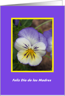 A Pansy for Mom -- Spanish card