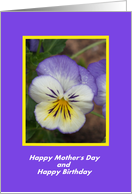 Mothers Day Birthday Pansy Card