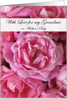 Mother’s Day Pink Roses for Grandma card