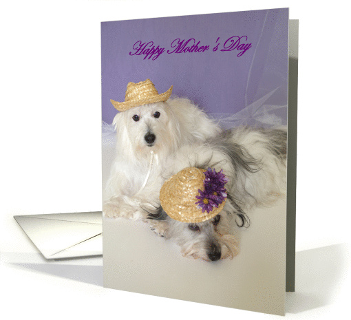 Mothers day from dog (Sweet) card (174418)