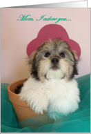 Mothers day from dog -- Adoration card