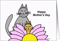 Mothers Day Card from Cat (Purrfect) card