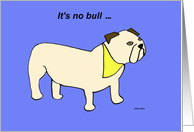 It’s no bull -- Mothers day card from the dog card
