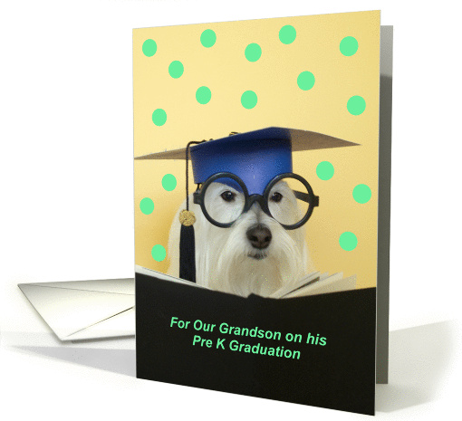 Pre K Graduate Dog -- Grandson card (181211)