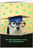 Pre K Graduate Dog -- Grandson card
