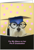 Pre K Graduate Dog -- Niece card